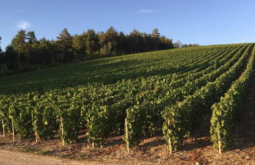 Gîte champenois les voisins - Foto 79