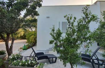 All'ombra dell'ulivo - Foto 5