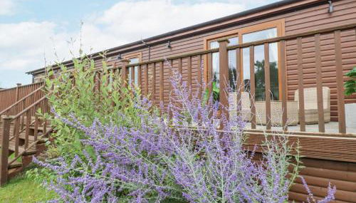 Butterfly Lodge - Foto 3