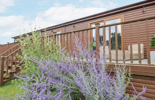 Butterfly Lodge - Foto 3