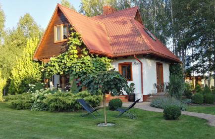 Siedlisko Gruszki Puszcza Białowieska - Foto 3