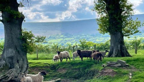 Spacious Cottage - Sleeps 4 - in the Black Mountains - Foto 3