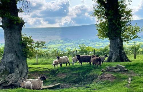 Spacious Cottage - Sleeps 4 - in the Black Mountains - Photo 3