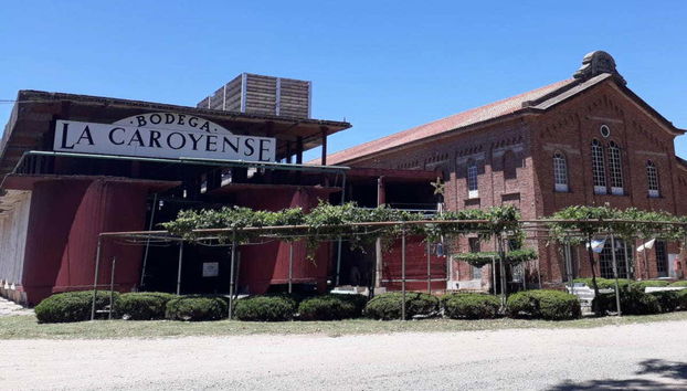 Excursión por las bodegas de Colonia Caroya - Foto 2