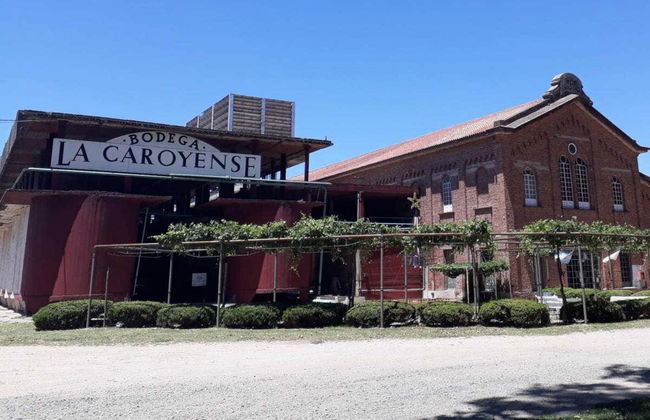 Excursão pelas adegas de Colonia Caroya - Photo 2