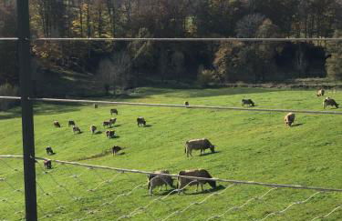 La Grange de Timon - Photo 16