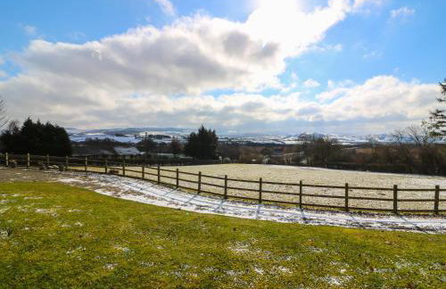 Dolau Meurig - Foto 22