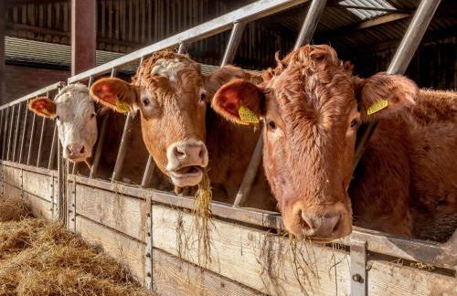 1 Bed in Ironbridge 77906 - Foto 31