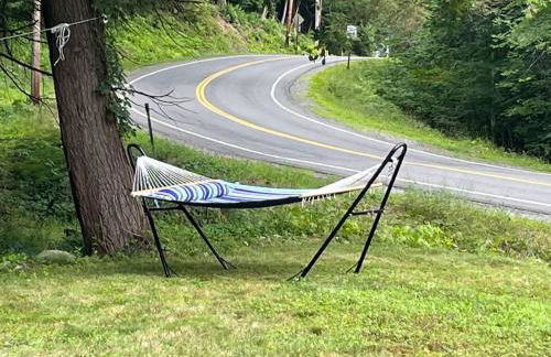 Brooks bay - Foto 45