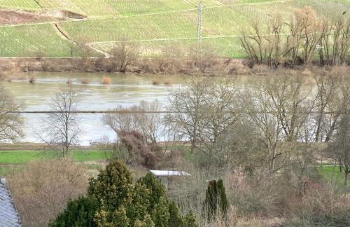 Burgblick Pünderich - Foto 31
