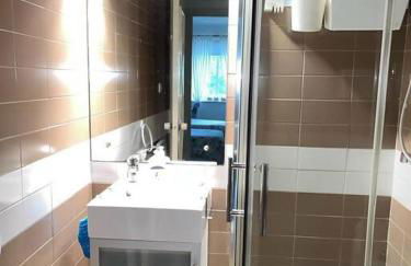 Hortensias de jardín - Photo 13