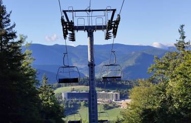 Nono's Mountain Cabin Studio in Vercors - Foto 5