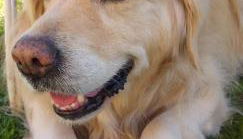 La Casa sul Lago - Foto 3