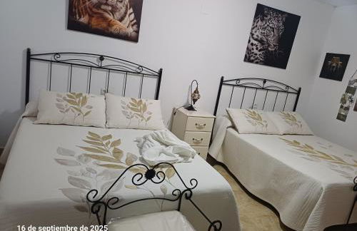 Cortijo del carmen - Photo 16