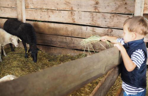 Romantische Wohnung Bauernhof, 100m2 offenes Dachgeschoss - Foto 11