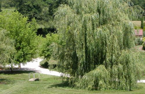 Hameau les Combelles - Foto 32