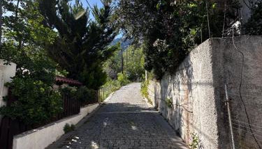 House in the Forest - Foto 3