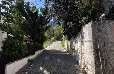 House in the Forest - Foto 3