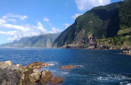 Ape Esquerdo - Foto 20