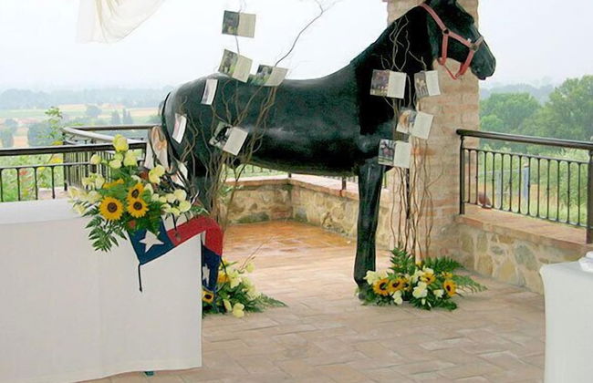 Tenuta del Perugino - Foto 64