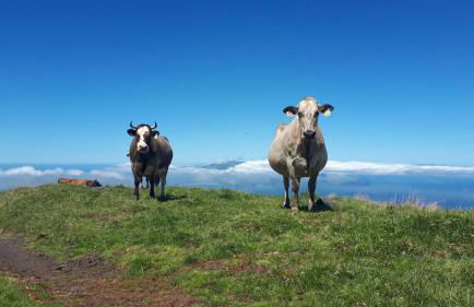 Casa Santa - Photo 20