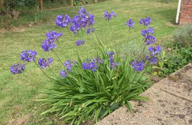 Seabrook Holme-next-the-sea - Foto 34