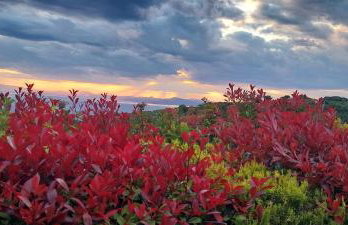 Panorama Studio Afetes - Photo 69