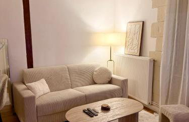 Appartement Jazz - Hyper Centre Vienne - Garage - Foto 6