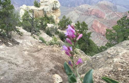 The Triple Palms - Foto 46