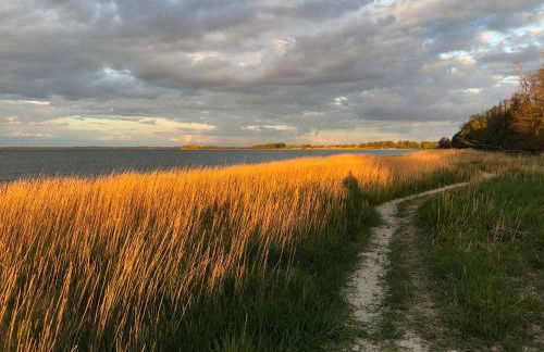 Frühling am Meer mit Ostseeblick, Kamin und Sauna nur 500 m vom Strand entfernt - Photo 49