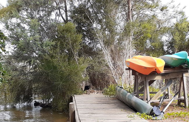 Boat Haven Studios - Photo 20