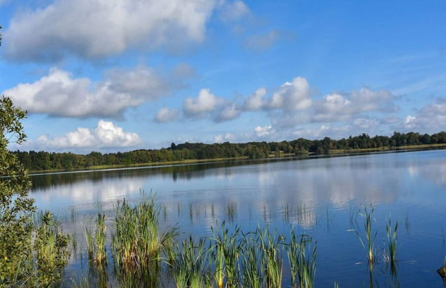 4 Star Holiday Home in Ansager - Photo 40