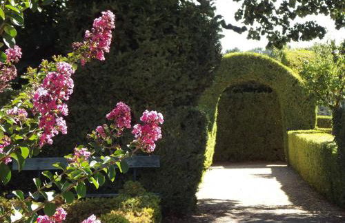 Douro - A Casinha da Ana - Photo 11