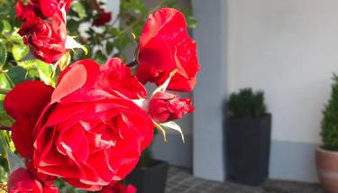 Landhaus Sonnenbichl - Foto 2