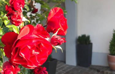 Landhaus Sonnenbichl - Foto 2