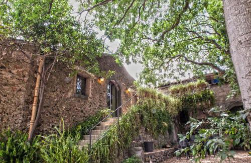 Etna Botanic Garden - Foto 27