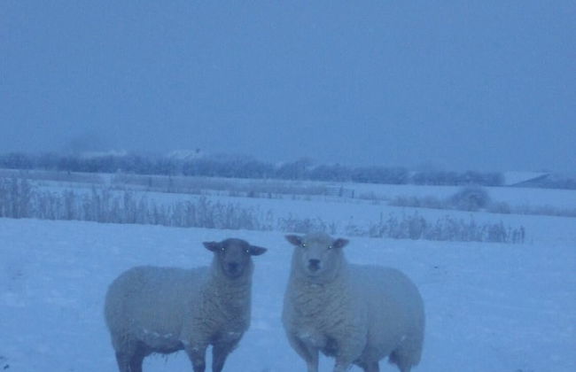 Dorotheenhof - Foto 24