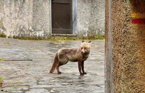 Love, made in xisto - Foto 61