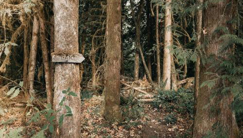 Silver Lake Cabin #67 - Hot Tub - Pets Ok - Wi-Fi - Foto 4