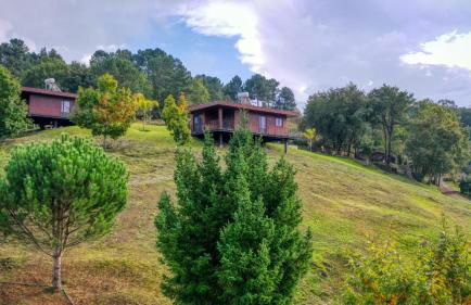 Quinta de Silharezes, Lda - Foto 28