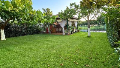 The Βeach - Family House - Foto 2, Garden, Garden view