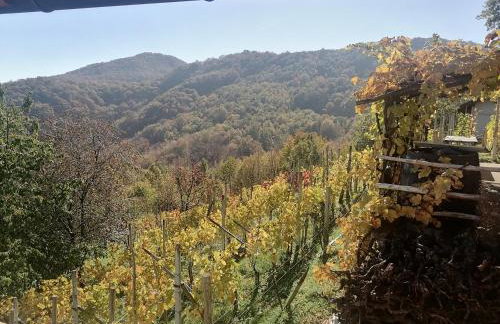 Sweet Sky apartman - Foto 11