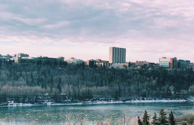 Sweet 2 BR Walk to all - Photo 12