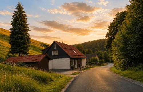 Harz Ferienwohnung Mühlenteich - Natur, Ruhe & Wandern - Foto 16