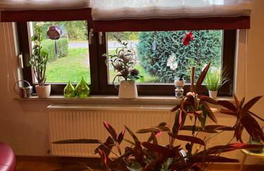 Elb- Havel Ferienhaus - Foto 6