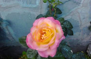 L'Erbetta fra le Cinque Terre e la Val di Vara - Photo 1