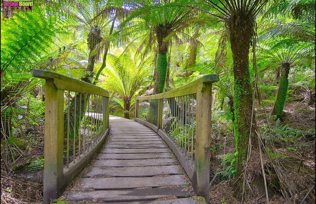 The Boomerangs - Foto 50