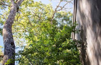 Loft com vista para mata! - Foto 43