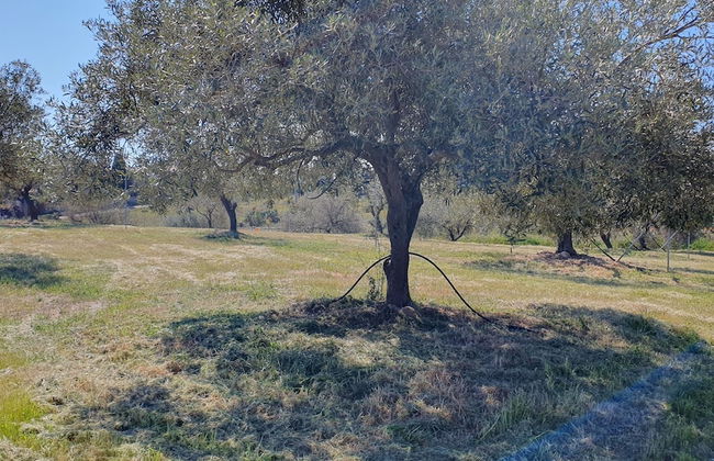 Agriturismo Corte Degli Ulivi - Foto 53