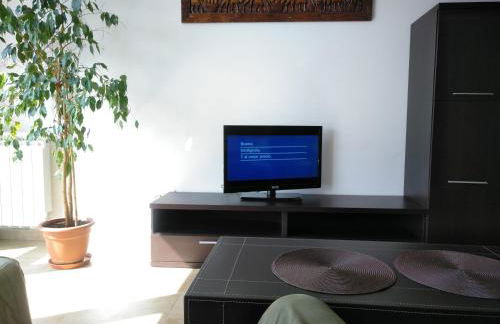 Apartamentos la Pasarela - Foto 39